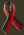 NIU Remembers